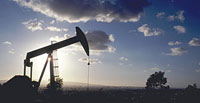Major U.S. petroleum and chemical company